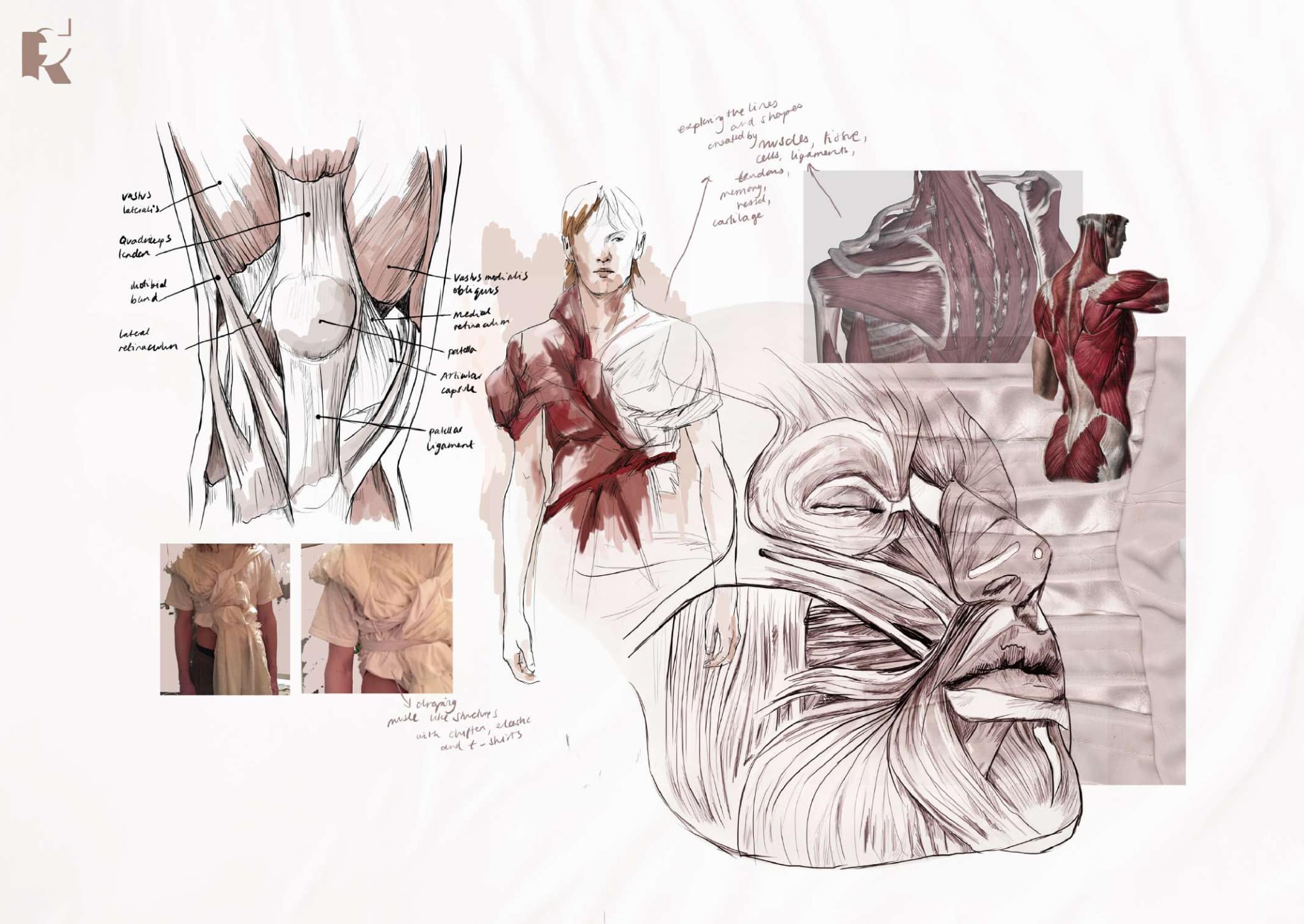 A detailed anatomical illustration showing muscle structures of the human body, including sketches of a torso, arm, and face with annotations and two reference photographs.