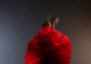 Person wearing a large, red, ruffled garment on the upper body and a long, black skirt stands against a dark gradient background. Hair is blown upwards.