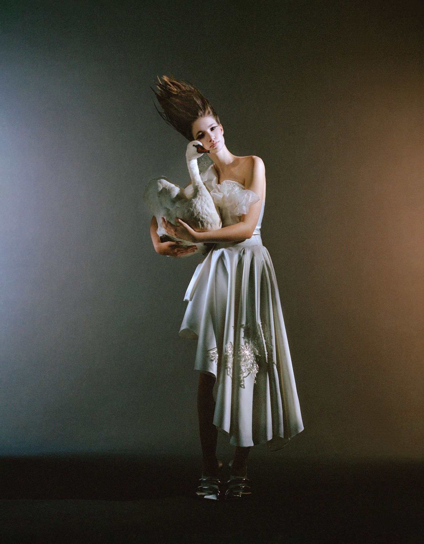 A model with windswept hair wears a strapless white dress embellished with lace, holding a large white swan against a dark gradient background.