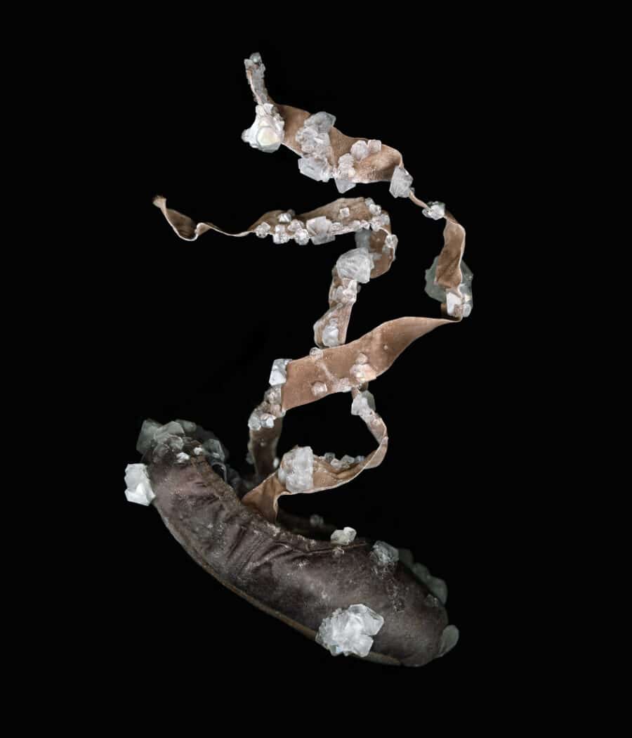 A spiraled copper strip with clustered white crystals attached, displayed against a black background.